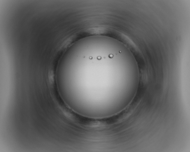 X0000113160549200909111016