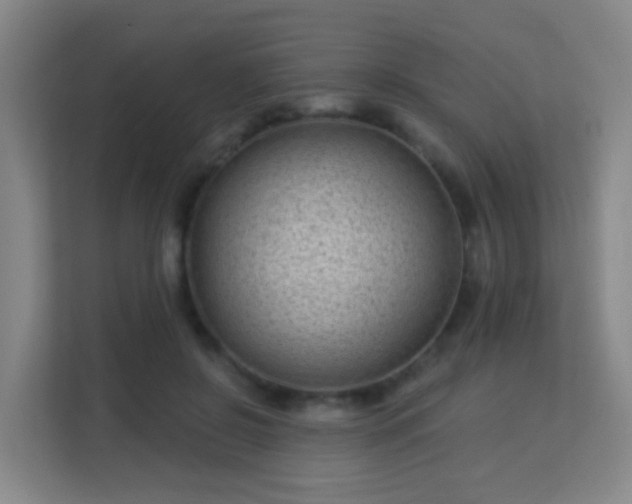 X0000113160550200909111016