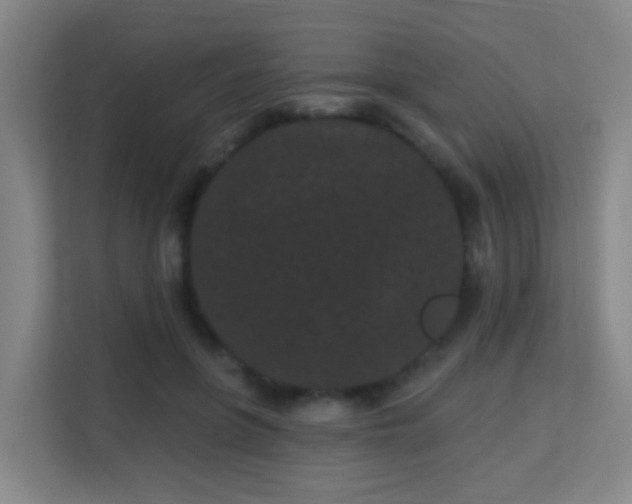 X0000113160551200909111016