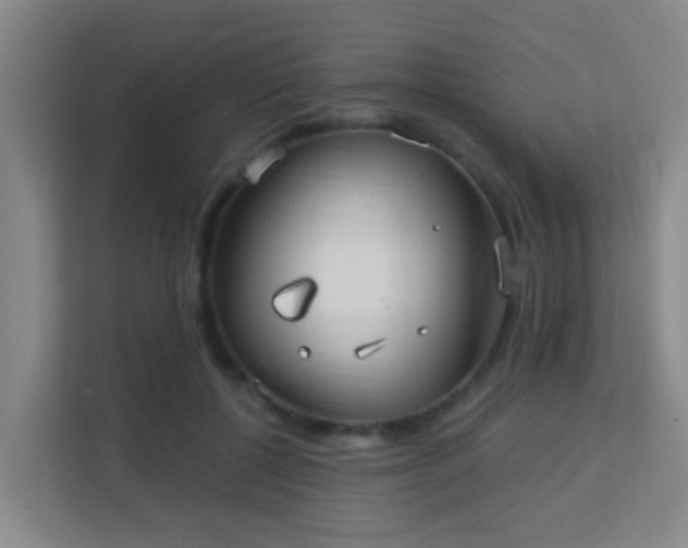 X0000113160552200909111016