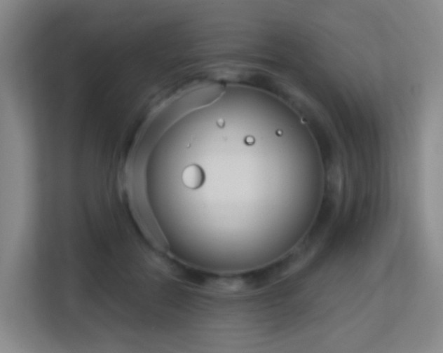 X0000113160554200909111016