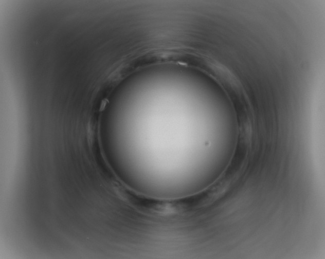 X0000113160558200909111017