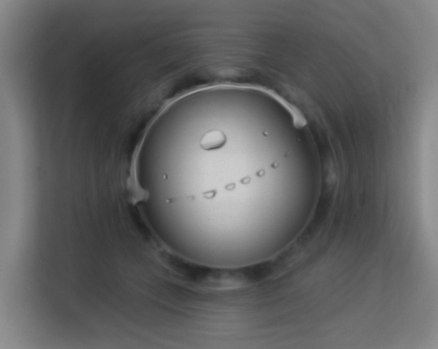 X0000113160559200909111017