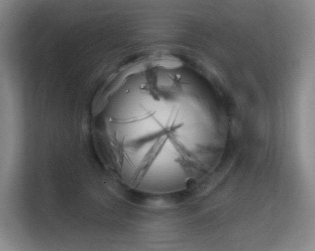 X0000113160561200909111017