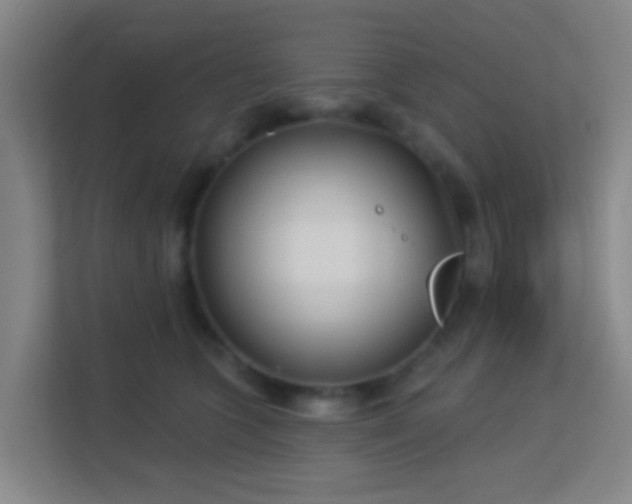 X0000113160563200909111017