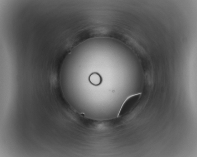 X0000113160564200909111017