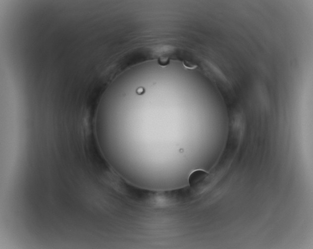 X0000113160565200909111017