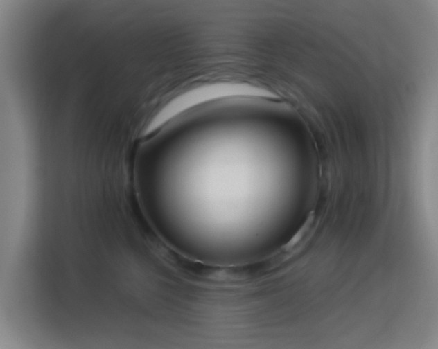 X0000113160568200909111017