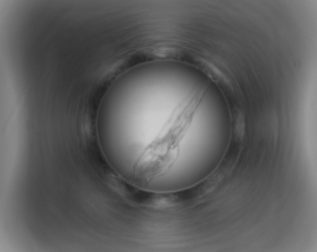 X0000113160569200909111017
