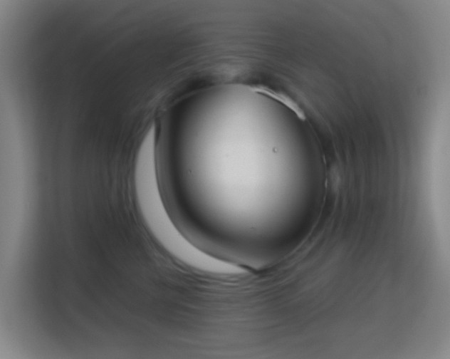 X0000113160570200909111017