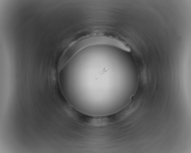 X0000113160571200909111017