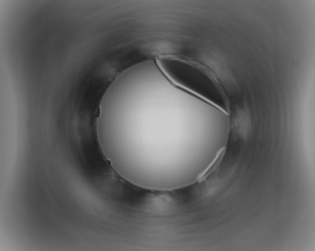 X0000113160572200909111017