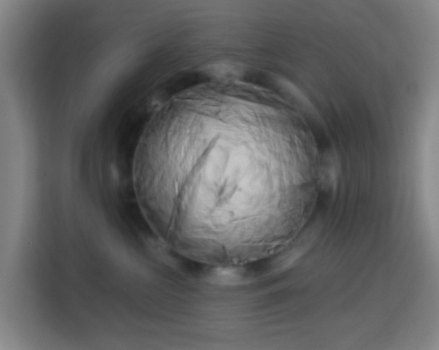 X0000113160573200909111017