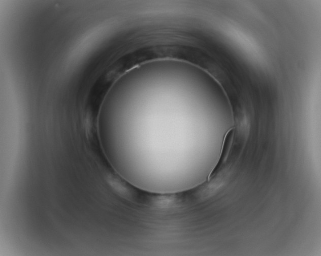 X0000113160574200909111017