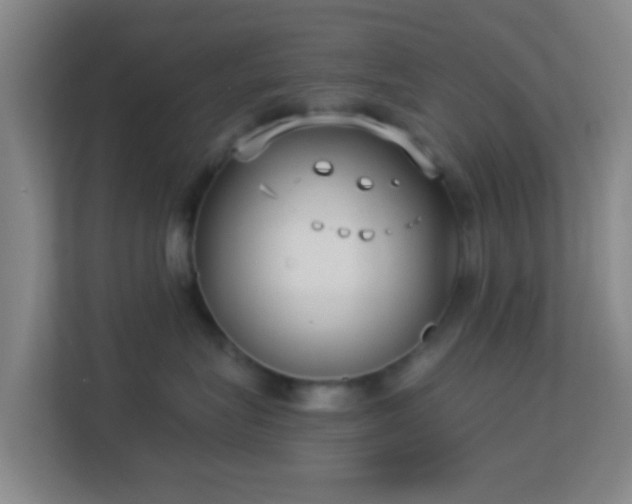 X0000113160575200909111017