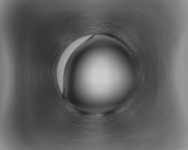 X0000113160576200909111017