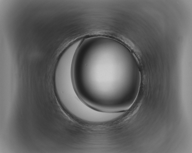 X0000113160577200909111016