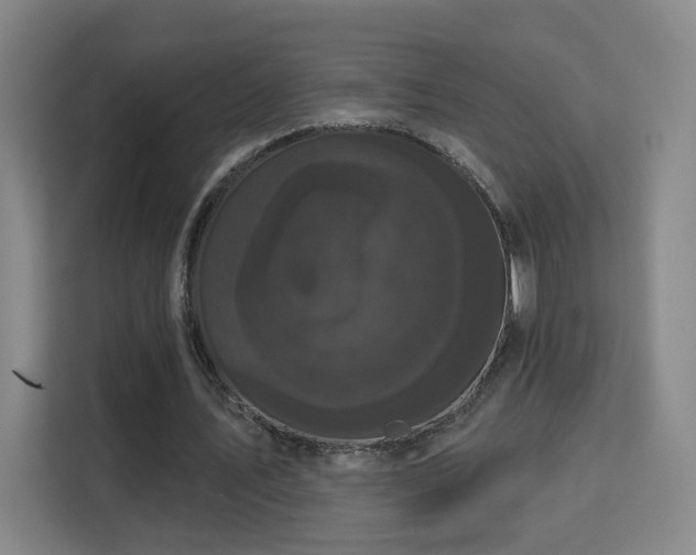 X0000113160579200909111016