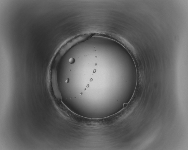 X0000113160580200909111016