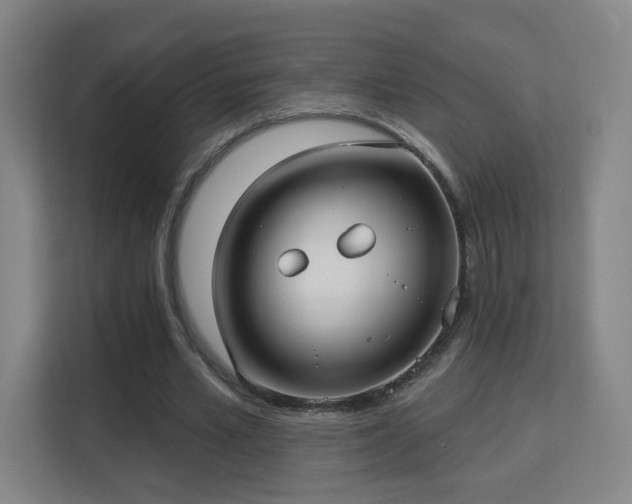 X0000113160581200909111016