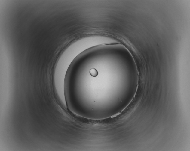 X0000113160585200909111016