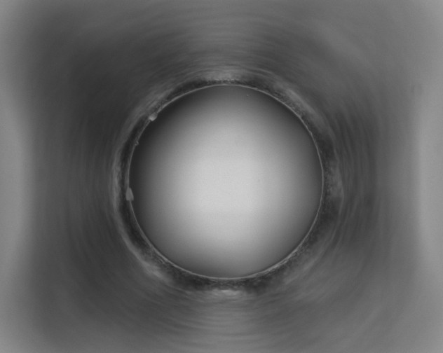 X0000113160586200909111016