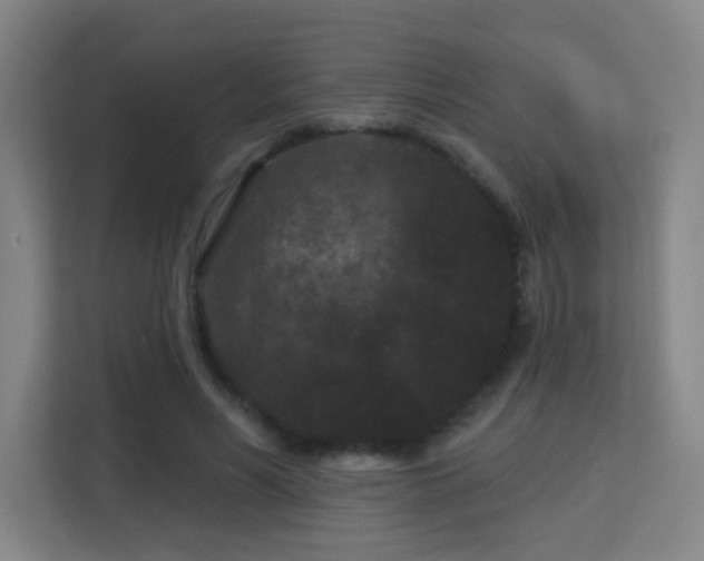 X0000113160590200909111016