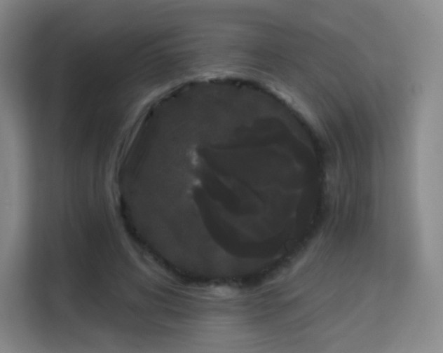 X0000113160592200909111016