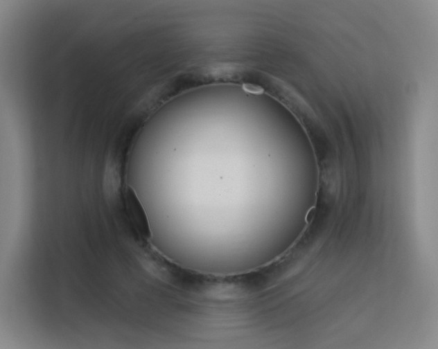 X0000113160593200909111016