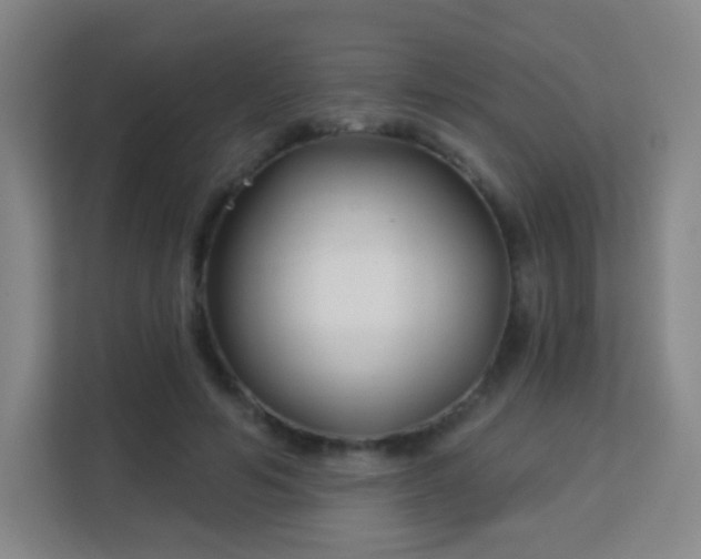 X0000113160594200909111016