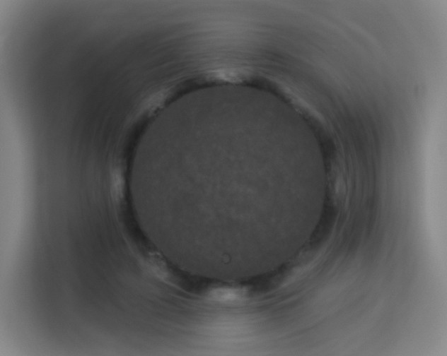 X0000113160595200909111016