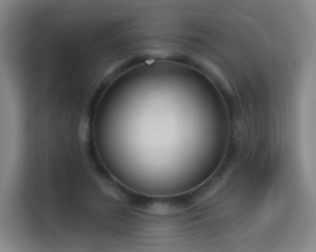 X0000113160596200909111016