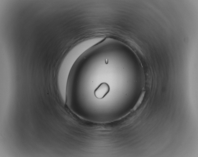 X0000113160597200909111016