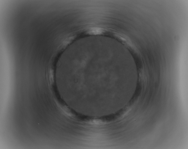 X0000113160598200909111016