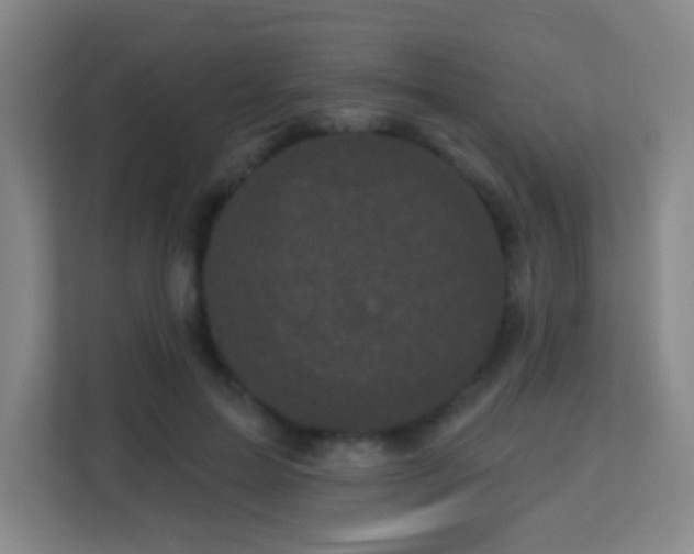 X0000113160599200909111016