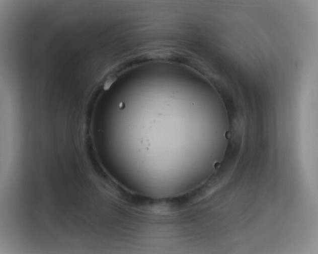 X0000113160600200909111016