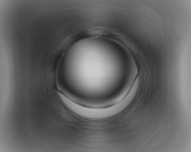 X0000113160601200909111016