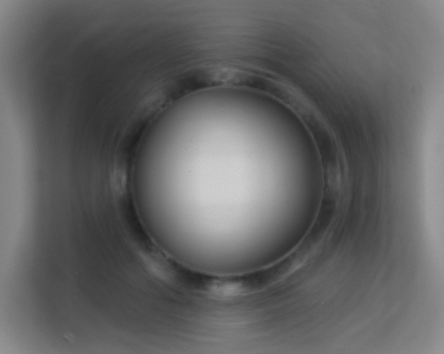 X0000113160602200909111016