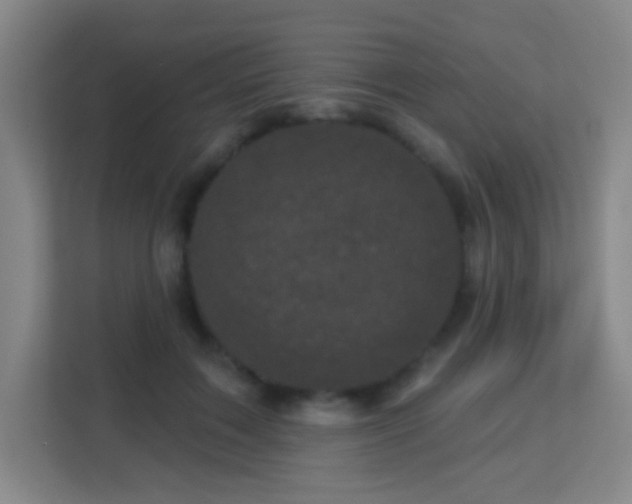 X0000113160603200909111016