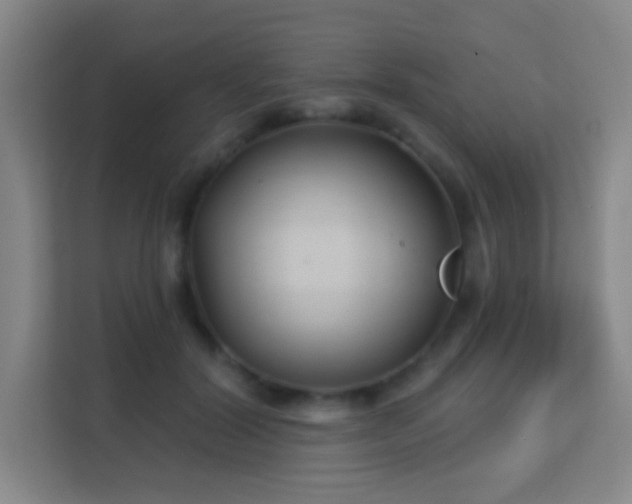 X0000113160604200909111016