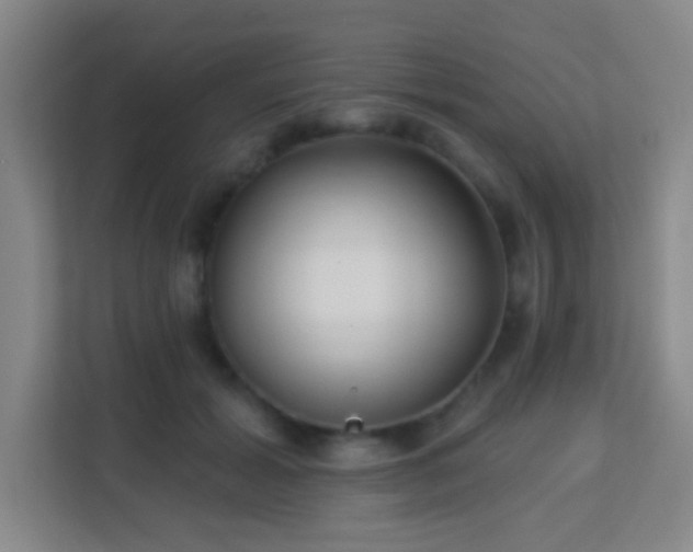 X0000113160605200909111016