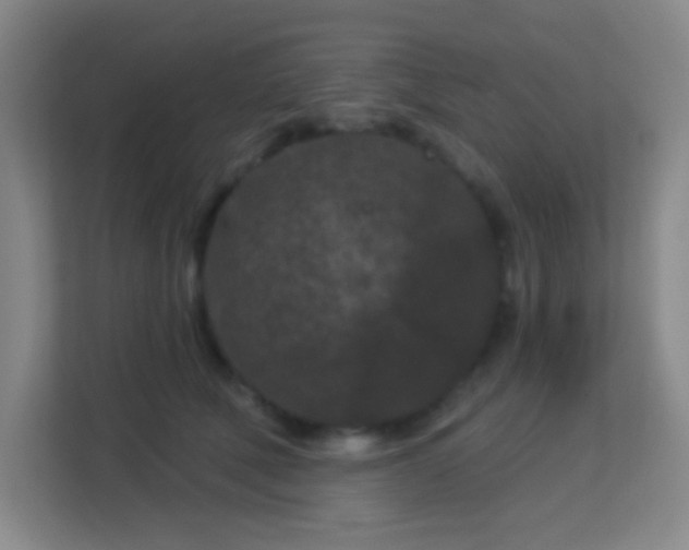 X0000113160610200909111016