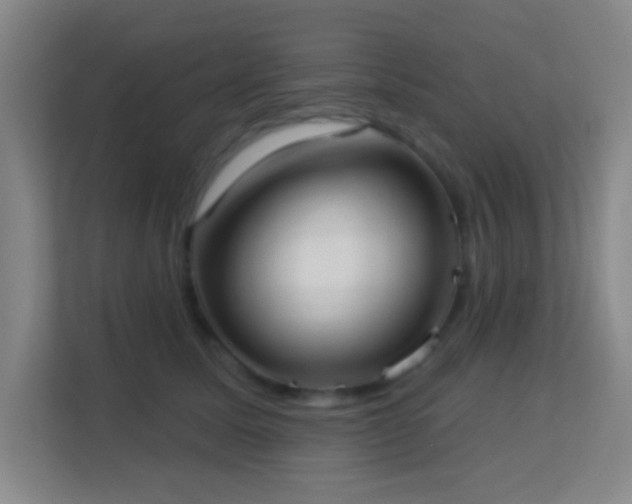 X0000113160611200909111016