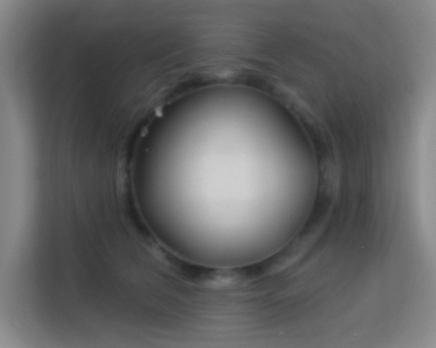 X0000113160612200909111016