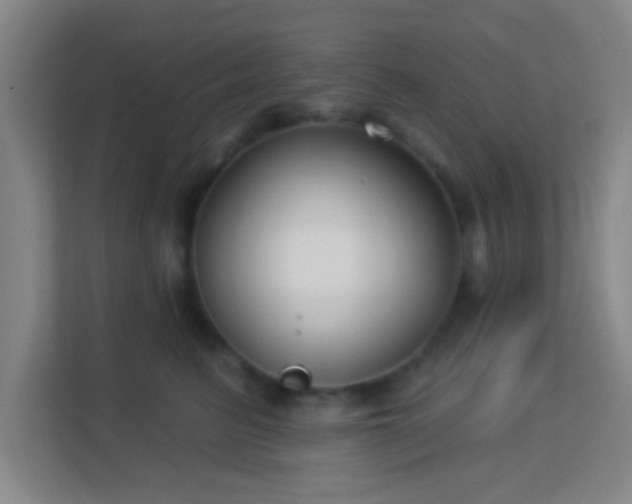 X0000113160615200909111016