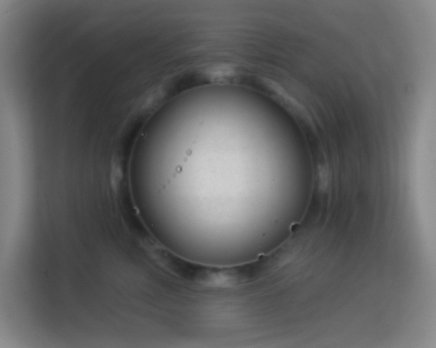 X0000113160618200909111016