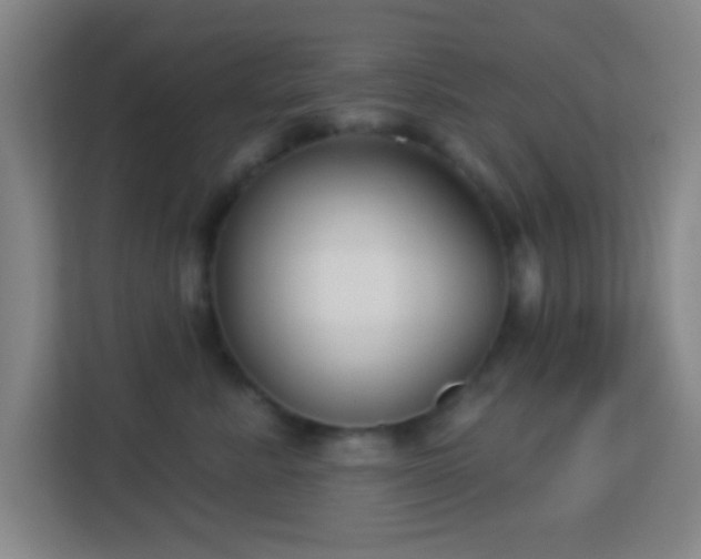 X0000113160619200909111016