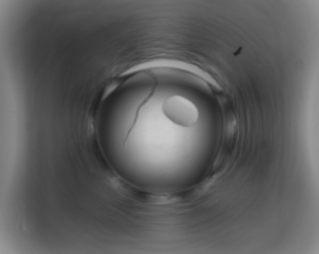 X0000113160621200909111016