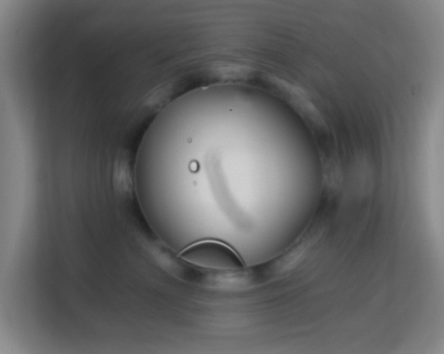 X0000113160622200909111016