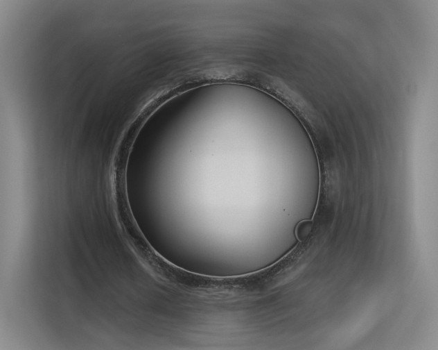 X0000113160626200909111015